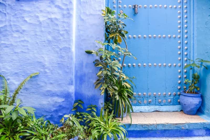 Why the Color Endures (Image Credits: Unsplash)