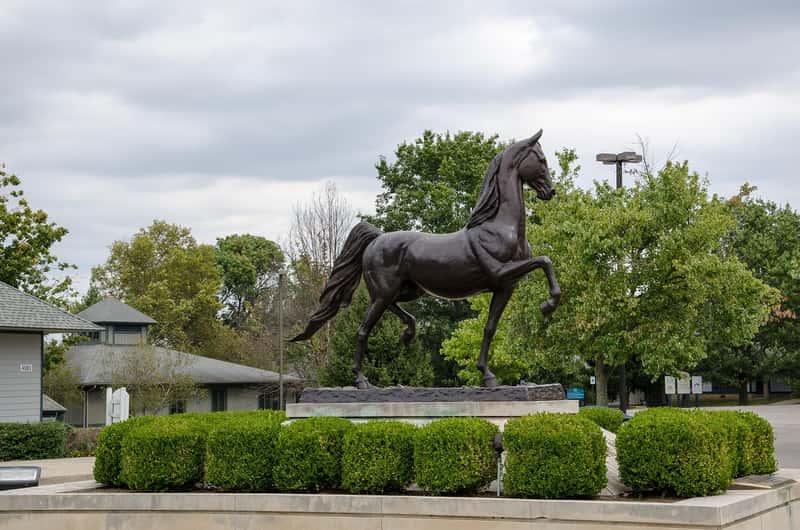 Lexington, Kentucky (Image Credits: Pixabay)
