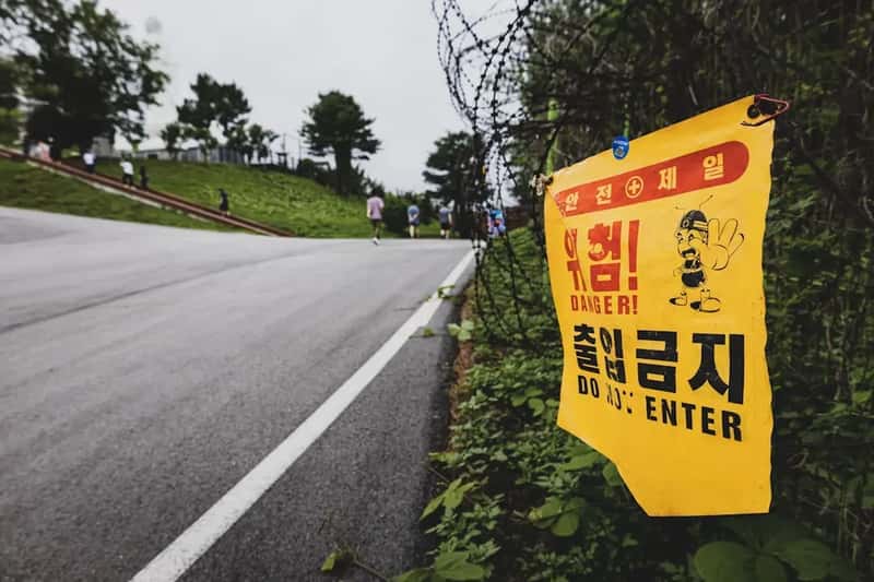 16. The DMZ Between North and South Korea (Image Credits: Unsplash)
