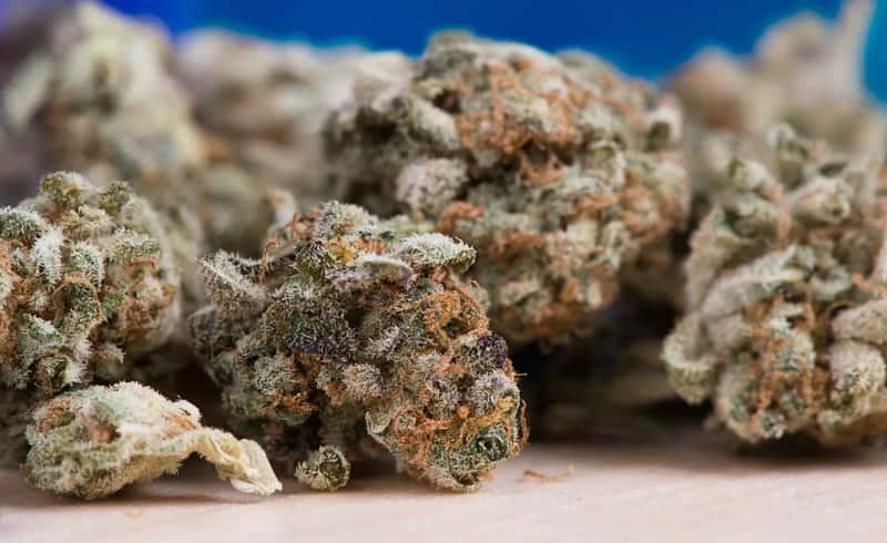 10. Marijuana and THC products, even where legal locally (Image Credits: Pixabay)
