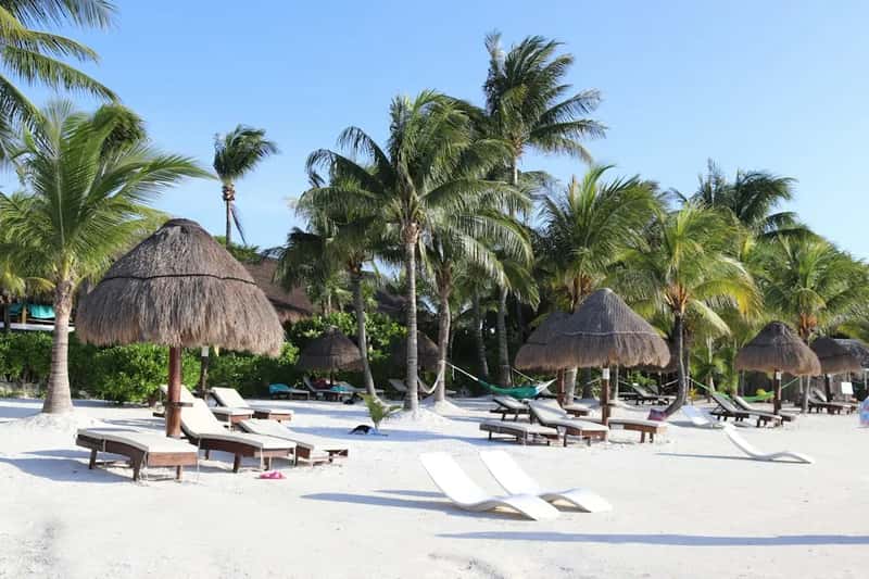 All Inclusive Resorts Are Not All the Same (Image Credits: Unsplash)