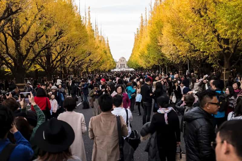 Japan (Image Credits: Pexels)