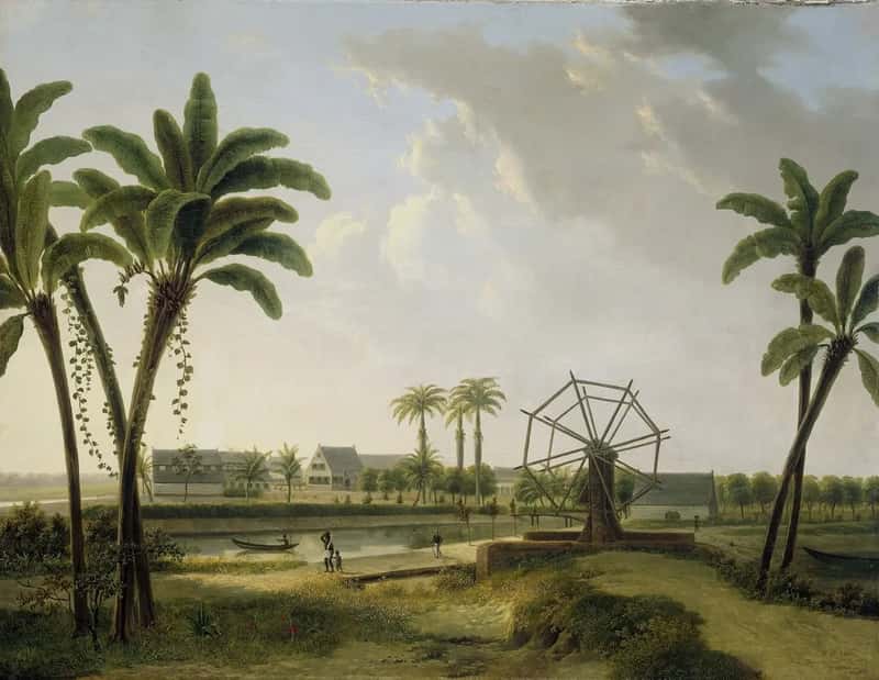 7. Suriname (Image Credits: Rawpixel)
