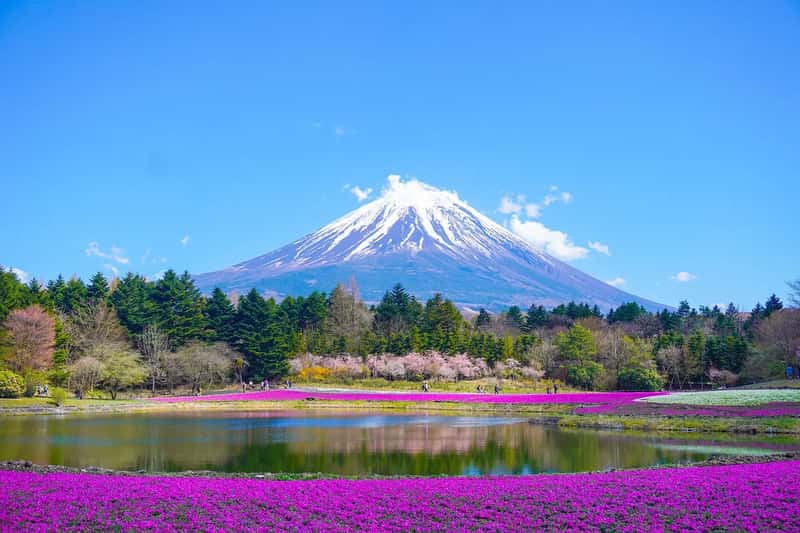 Japan (Image Credits: Pixabay)