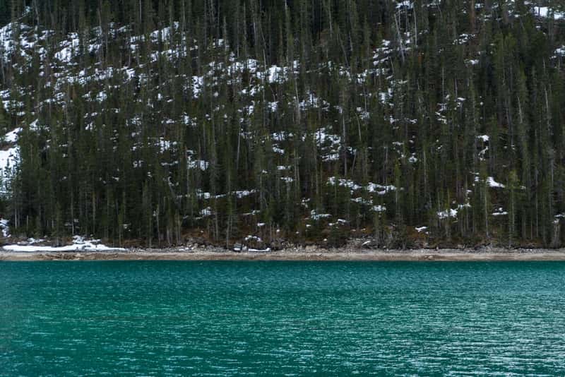 Canmore: The Affordable Alternative That Isn't Anymore (Image Credits: Unsplash)