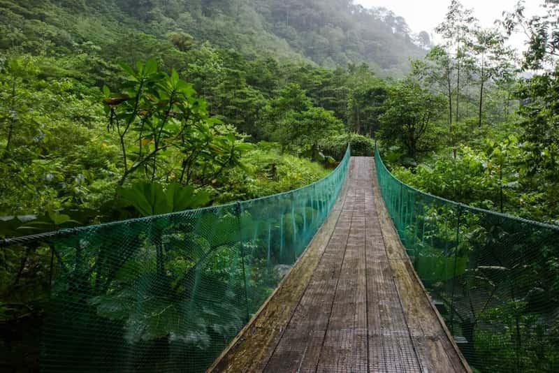 Environmental Stakes: Protecting Fragile Ecosystems (Image Credits: Unsplash)