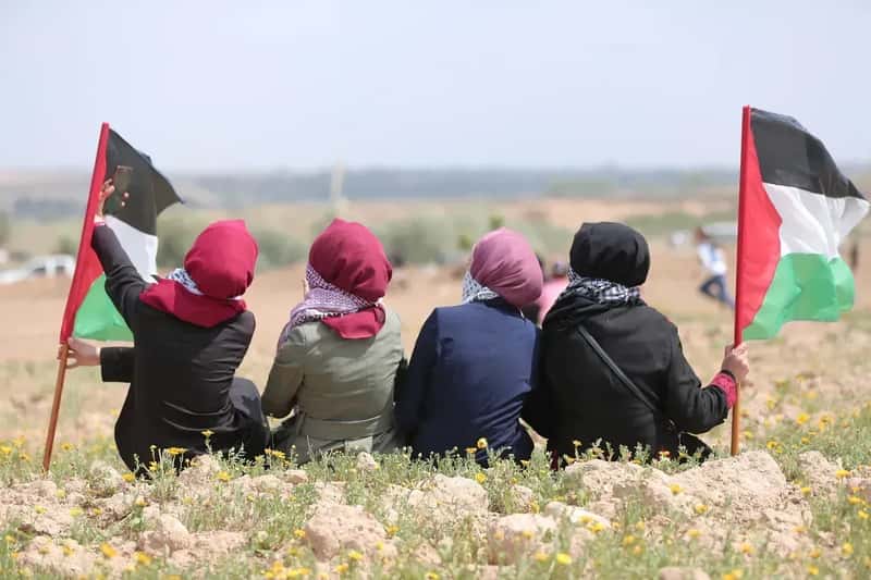9. Gaza (Palestine): Court Orders and Guardian Bans (Image Credits: Pixabay)