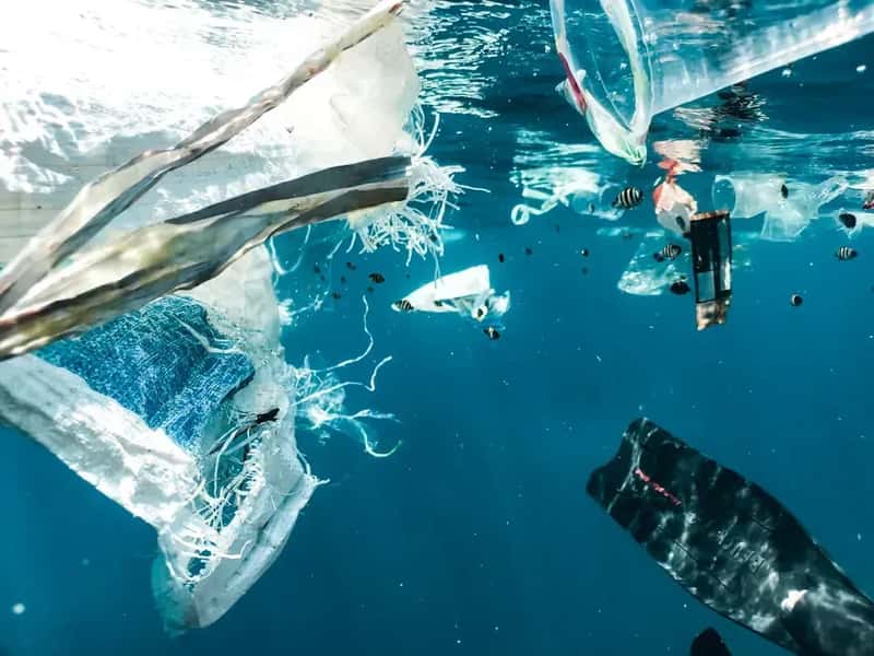 6. Water Quality Issues Are a Hidden Danger (Image Credits: Unsplash)