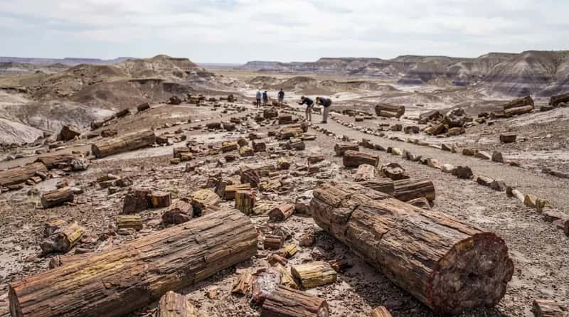 #9 - The Famous “Ton a Month” Rock Theft Number Isn’t What It Seems (Image Credits: Gemini)