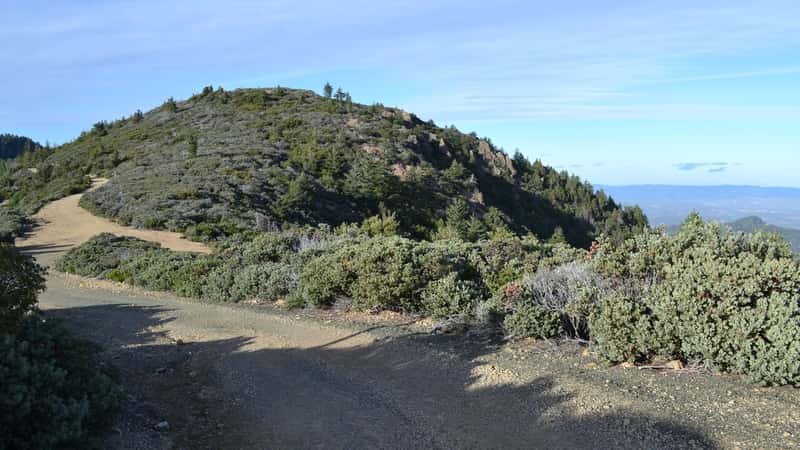 Trail in Robert Louis Stevenson State Park to the summit of Mount Saint Helena