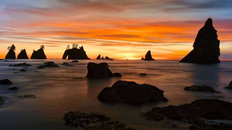 Sea stacks in the ocean at sunset. Olympic peninsula. Pacific ocean. Shi Shi beach. Point of Arches. WA. USA.