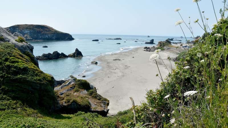 picture of a beach in Harris Beach State Park in Oregon, USA.