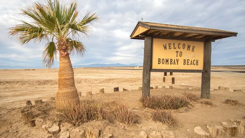 A photograph featuring a stella with a visor displaying the inscription 'Welcome to Bombay Beach' against a yellow background. In the vicinity, a small palm tree is visible with arid terrain in the background. The sky is overcast with clouds, providing a subdued atmospheric backdrop.