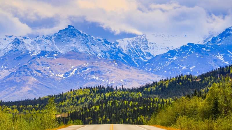 Driving the George Parks Highway near Denali National Park and Preserve in Alaska. In the back, the Alaska range with clouds and forest are visible.