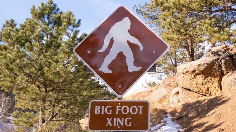 Big Foot Crossing sign in the wilderness of Colorado