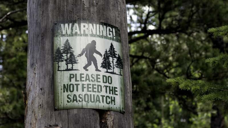 Please do not feed the Sasquatch sign posted on a tree, Rocky Mountain National Park