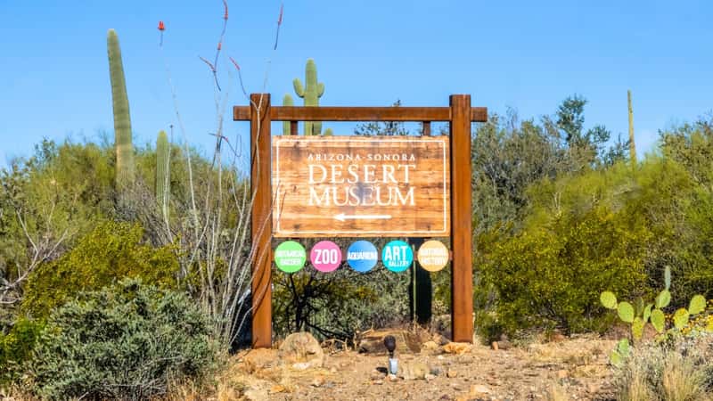 Sonora Desert Museum in Arizona, USA, featuring a simple yet welcoming signboard. The sign prominently displays the museum's name, "Arizona Sonora Desert Museum," against a clear sky backdrop. Surrounding the sign are typical desert vegetation, including bushes and cacti, reflecting the arid landscape of the Sonoran Desert region. 