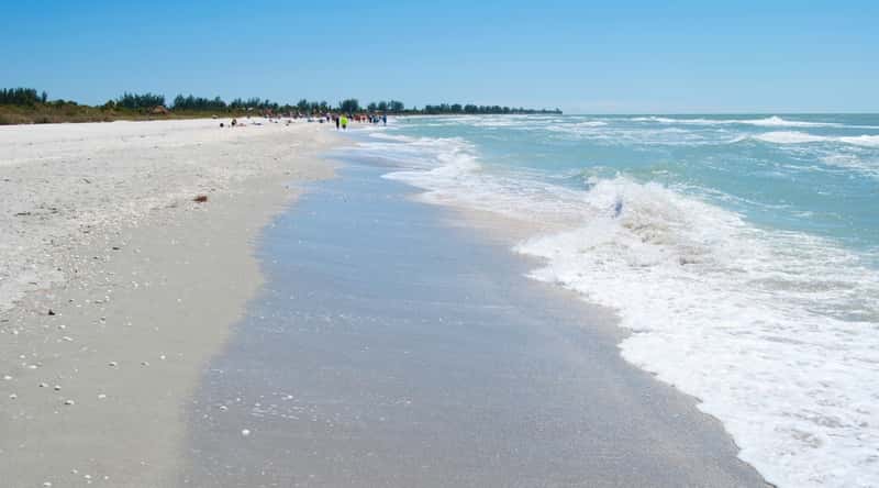 Bowman's Beach in Florida is a quiet and secluded beach with powdery white sand, clear blue waters, and shaded areas under the pine trees. Lots of people relax on the beach.