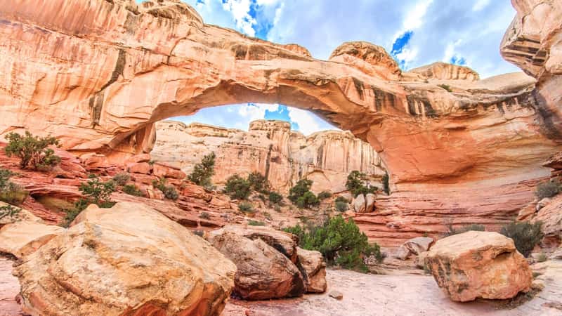 The natural bridge in Capitol Reef National Park, Utah, is a geological formation consisting of layered rock arching over a canyon. The bridge exhibits earthy tones of red, orange, and brown. Surrounding the bridge are desert landscapes with sparse vegetation and rugged terrain.