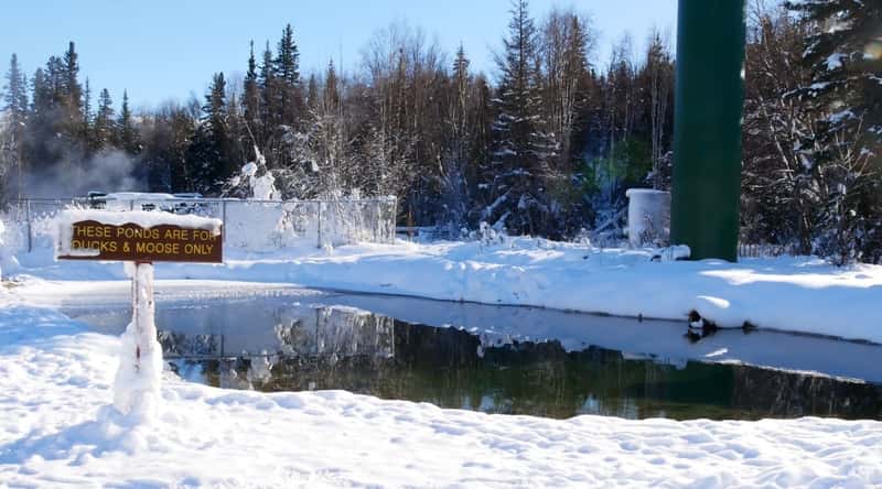 The image captures Chena Hot Springs in Alaska, featuring a substantial layer of snow in the surroundings. The landscape is characterized by a dense forest in the background, creating a winter scene devoid of human presence.