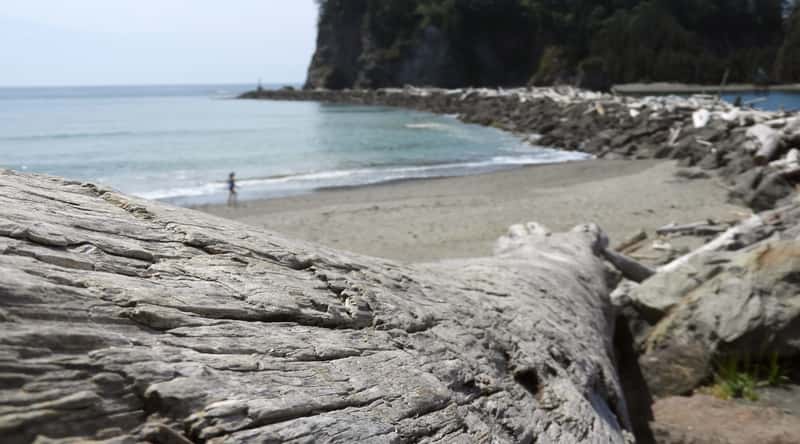 First Beach, also known as La Push Beach, is a popular beach located in the town of La Push in Olympic National Park, Washington, USA. The beach is known for its rugged beauty, with towering sea cliffs and impressive rock formations rising above the ocean.