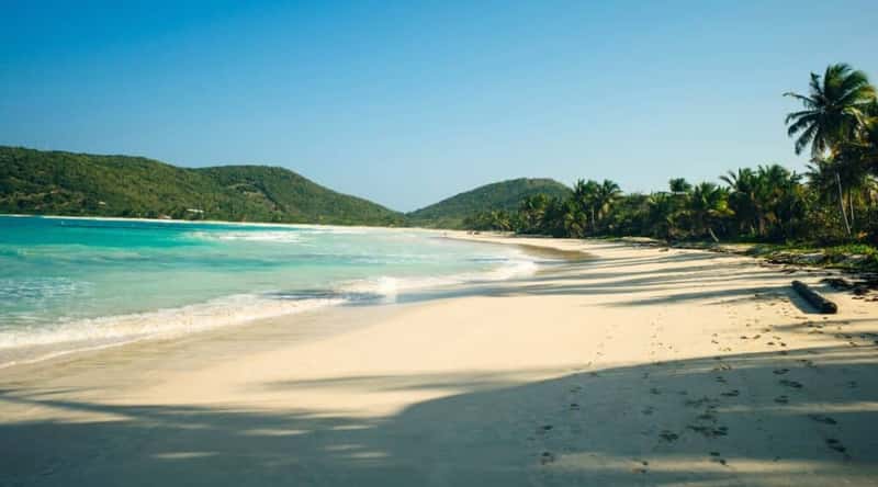 A photograph illustrating Flamenco Beach in Puerto Rico. The image captures the expansive sandy shoreline bordered by clear blue waters. The beach features modest infrastructure. Palm trees provide intermittent shade along the sandy expanse.