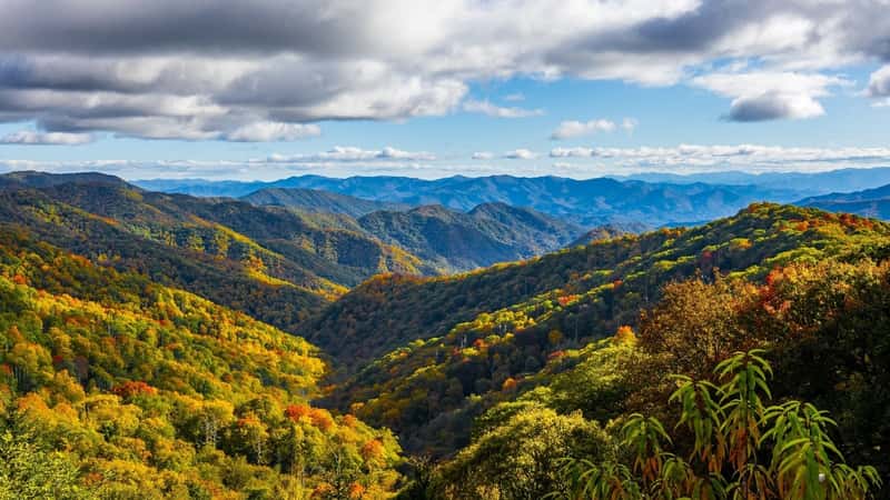 The image depicts a scenic view of the Great Smoky Mountains National Park, characterized by lush greenery, rolling hills, and humps that create a picturesque landscape. 