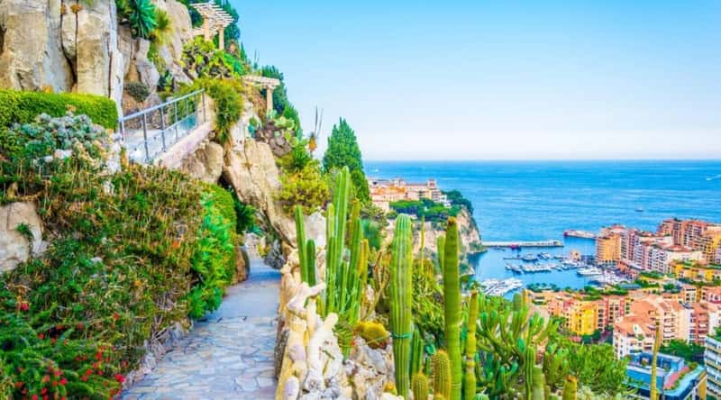A photo capturing the beauty of the Jardin Exotique in Monaco reveals the vibrant botanical wonders of the garden, adorned with numerous exotic plants and succulents. The terraced garden design offers breathtaking views of the Mediterranean Sea, seamlessly blending natural and architectural beauty. Terracotta paths winding through the garden guide visitors to a diverse collection of rare and native plants.