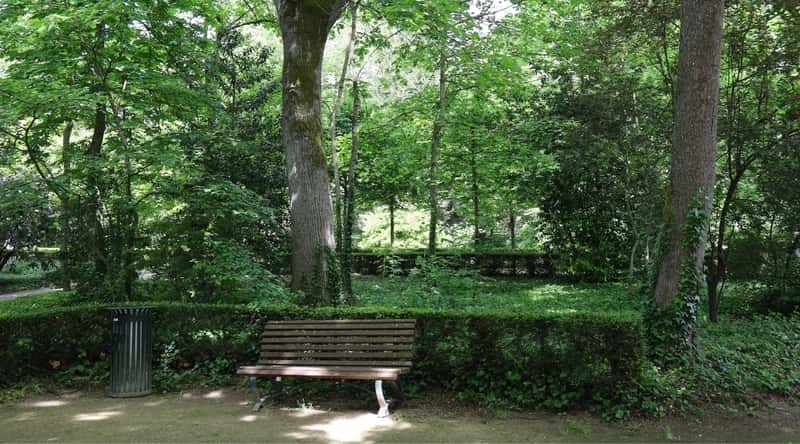 A park bench in Jardin des Plantes in Orleans France on a sunny summer day, surrounded by rich greenery.