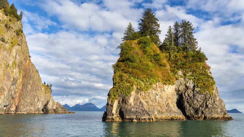 Spire Cove in Kenai Fjords National Park, Alaska, is a scenic coastal area with rugged cliffs. The cove is surrounded by towering spires of rock.Lush green vegetation adorns the cliffs and shoreline.