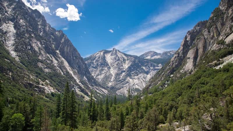 In the image, Kings Canyon National Park in California is depicted, showcasing its rugged terrain and towering sequoia trees.