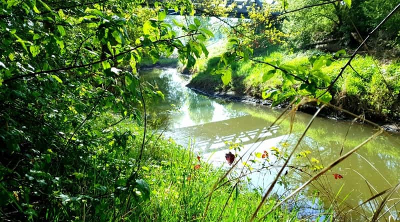 L’Ile Charlemagne located along the River Loire surrounded by lush greenery on a bright sunny day.
