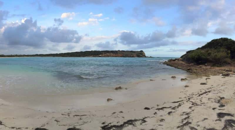 A photograph capturing La Playuela Beach in Puerto Rico. The image features the sandy shoreline bordered by clear blue waters. The beachscape is characterized by its natural simplicity. The surrounding landscape includes coastal vegetation.