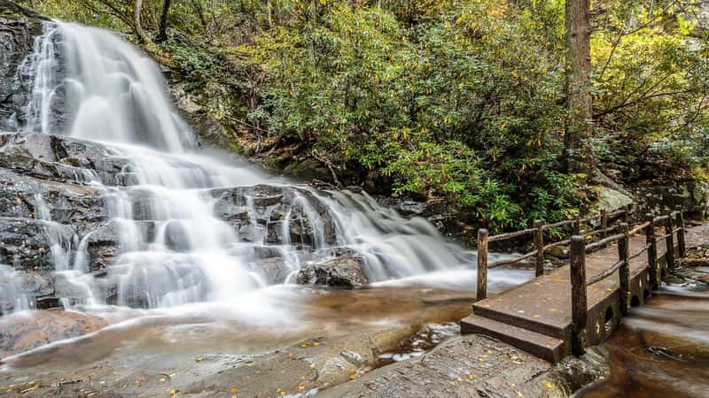 Laurel Falls trail.