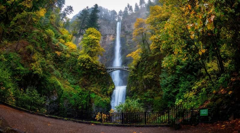 A photograph featuring Multnomah Falls in Oregon. The image captures the iconic two-tiered waterfall against a lush, forested backdrop. The water cascades gracefully.