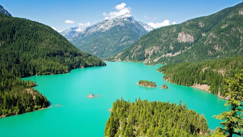 North Cascades National Park in Washington features turquoise Diablo Lake in the foreground, surrounded by mountain shores covered in pine forests. The lake's striking color contrasts with the greenery of the surrounding trees and the rugged terrain of the mountains.