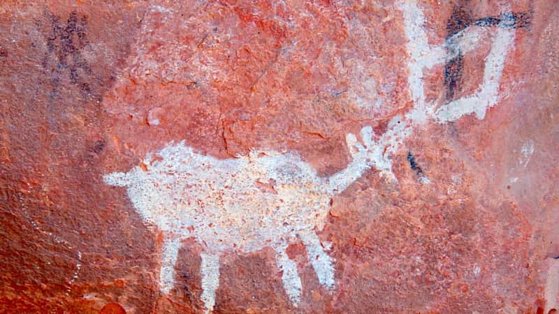  A photograph capturing a petroglyph of a deer at the Arizona Sedona Palatki Heritage Site.
