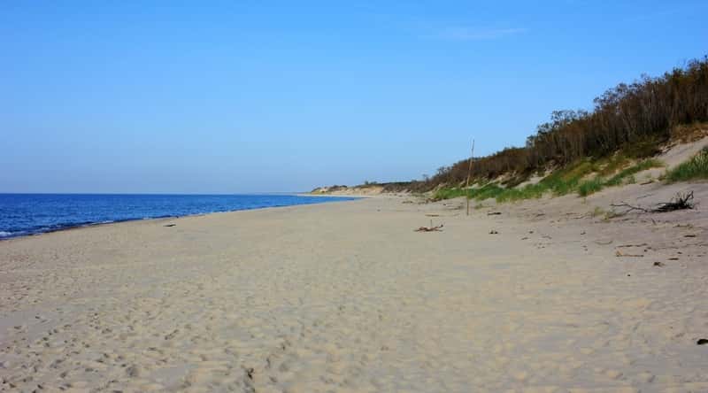 Plage des Salins in Saint Tropez, France. The golden sandy beach stretches along the azure coastline. Framed by lush greenery and scenic dunes, the beach offers a pristine and natural setting for relaxation and enjoyment.
