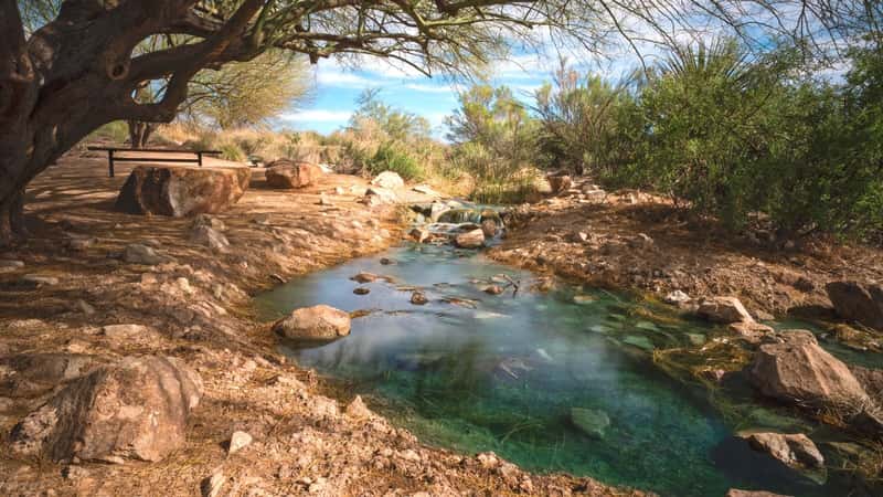 An image capturing a small stream at Riparian Preserve at Water Ranch in Phoenix, Arizona. The stream meanders through the landscape, bordered by vegetation characteristic of riparian habitats. 
