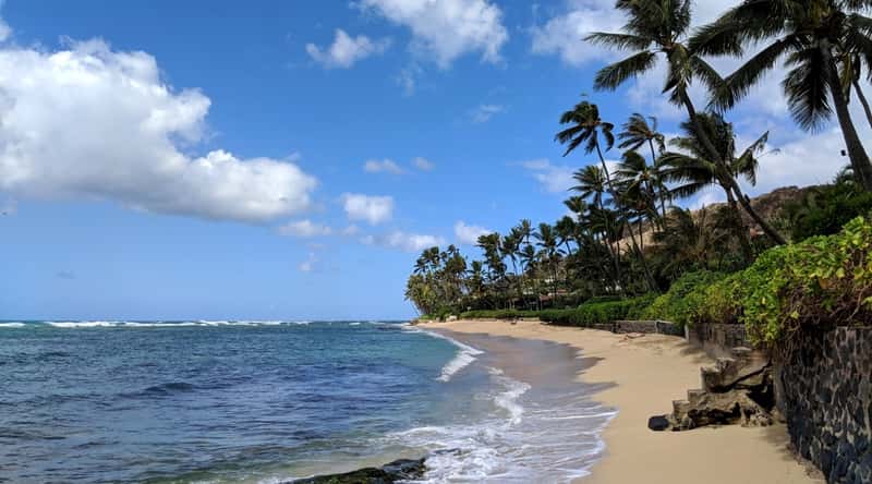 Sandy Beach, located in Honolulu, Hawaii, is a picturesque beach famous for its golden sand, and crystal clear water. A close-up of a fine beach with golden sand and blue waters surrounded by tropical palm trees.