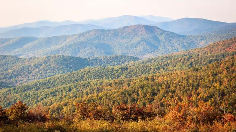 The image depicts a hazy morning scene at an overlook in Shenandoah National Park, located along the Blue Ridge Mountains in Virginia, USA.