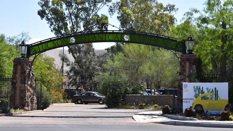 Tucson Botanical Gardens in Arizona. It features an open gate with a green metal arch bearing the inscription "Tucson Botanical Gardens."