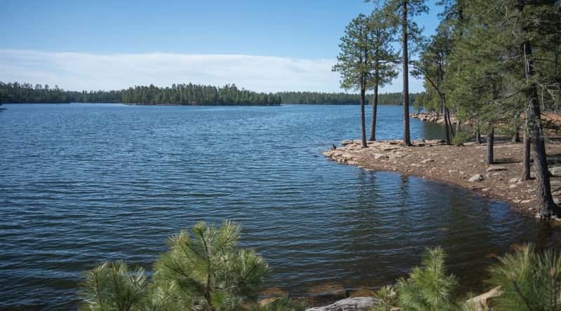 A photograph featuring Willow Springs Lake in Arizona. The image depicts the lake's tranquil waters surrounded by forested terrain. The shoreline exhibits a mix of trees and vegetation, complementing the natural landscape. The clear sky overhead. 