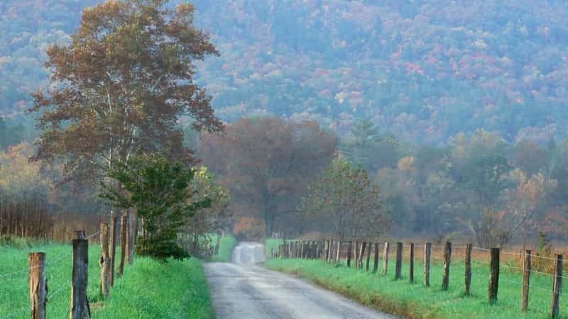 Morning in Cades Cove