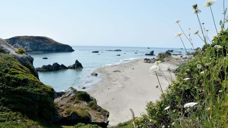 picture of a beach in Harris Beach State Park in Oregon, USA.