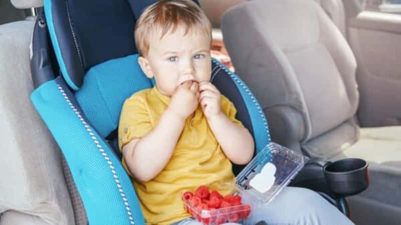 Cute adorable Caucasian toddler baby boy sitting in car seat and eating fresh berries raspberries. Funny child having healthy snack meal during travel trip. Summer tasty finger food for kid.