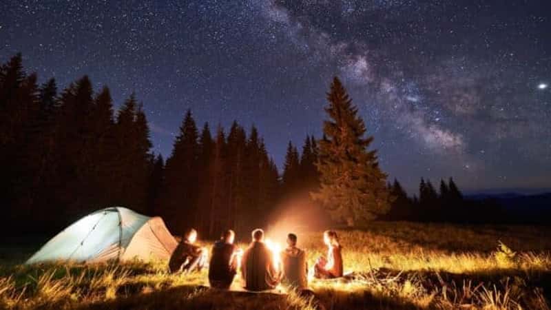 Back view group of five tourists having a rest together around campfire, enjoying fresh air near tent.