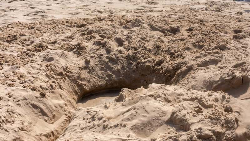 Close-up of a large hole dug into the soft sand of a beach, showing textured details of the surrounding sandy area.Close-up of a large hole dug into the soft sand of a beach, showing textured details of the surrounding sandy area.