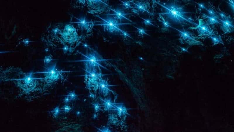 Glow Worm Caves
