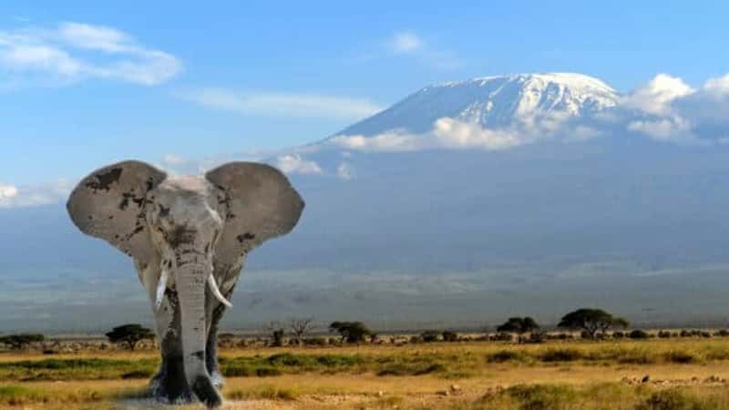 Kenya